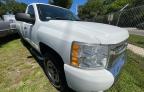 2010 CHEVROLET  SILVERADO