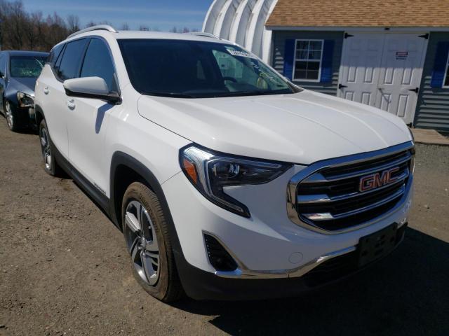 2019 GMC TERRAIN SL 3GKALPEV1KL246641