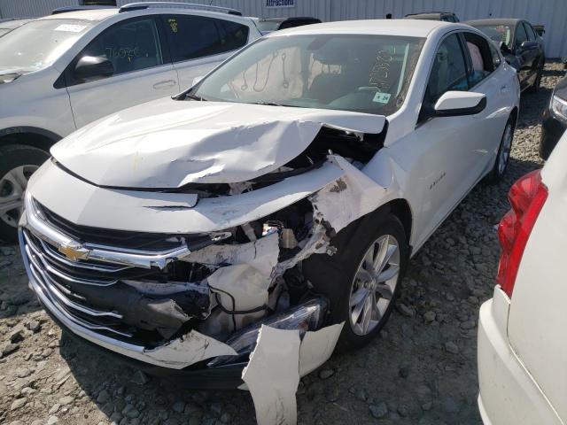 2019 CHEVROLET MALIBU LT 1G1ZD5ST3KF114812