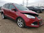 2013 FORD  ESCAPE