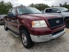 2005 FORD  F150