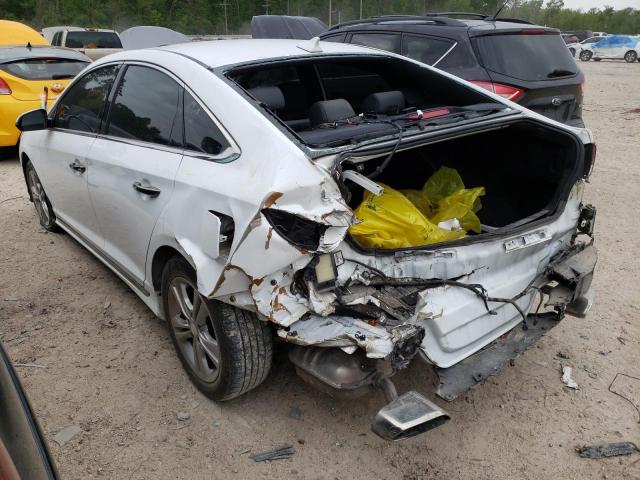 2019 HYUNDAI SONATA LIM 5NPE34AF1KH817586
