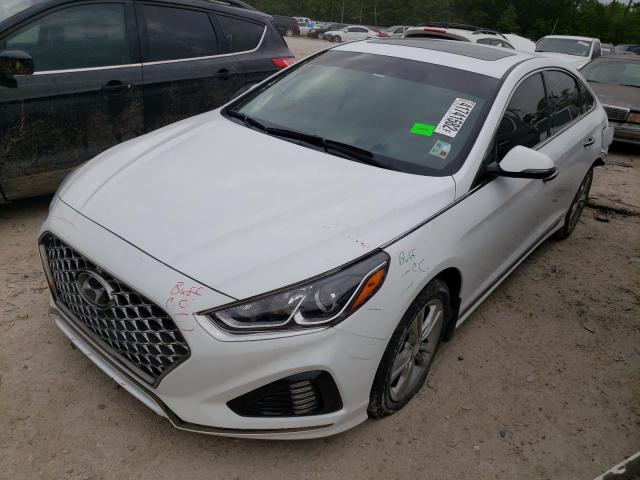 2019 HYUNDAI SONATA LIM 5NPE34AF1KH817586