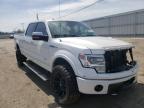 2013 FORD  F-150