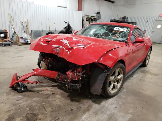 2019 FORD MUSTANG 1FA6P8TH9K5134281