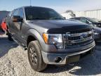 2013 FORD  F-150