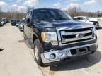 2013 FORD  F-150