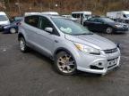 2013 FORD  ESCAPE