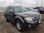 2008 FORD  ESCAPE