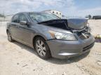 2010 HONDA  ACCORD