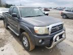 2010 TOYOTA  TACOMA