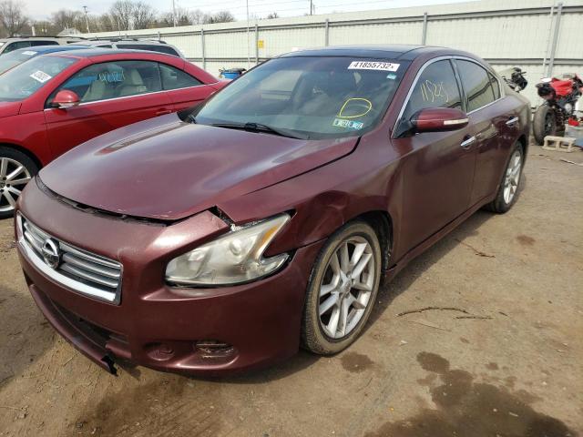 1N4AA5AP8BC851044 Nissan Maxima S 2011. Фото: 1