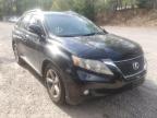 2010 LEXUS  RX350