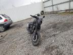 HONDA CMX500 A2 2021 foto