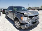 2009 FORD  F-150