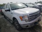 2013 FORD  F-150