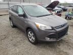 2013 FORD  ESCAPE