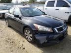 2009 HONDA  ACCORD