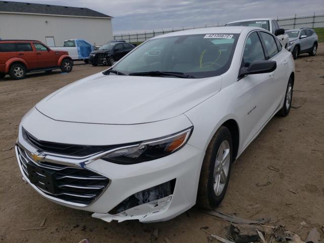2019 CHEVROLET MALIBU LS 1G1ZB5STXKF216744