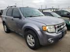 2008 FORD  ESCAPE