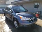 2010 HONDA  CRV