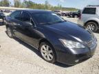 2008 LEXUS  ES350