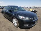 2013 HONDA  ACCORD