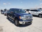 2014 FORD  F-150