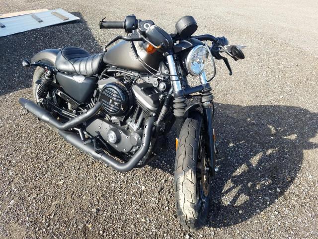 Salvage motorcycles for sale at Newton, AL auction: 2021 Harley-Davidson XL883 N