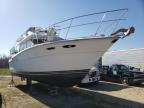 1987 SEARAY  BOAT