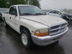 2000 DODGE  DAKOTA