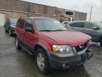 2004 FORD  ESCAPE