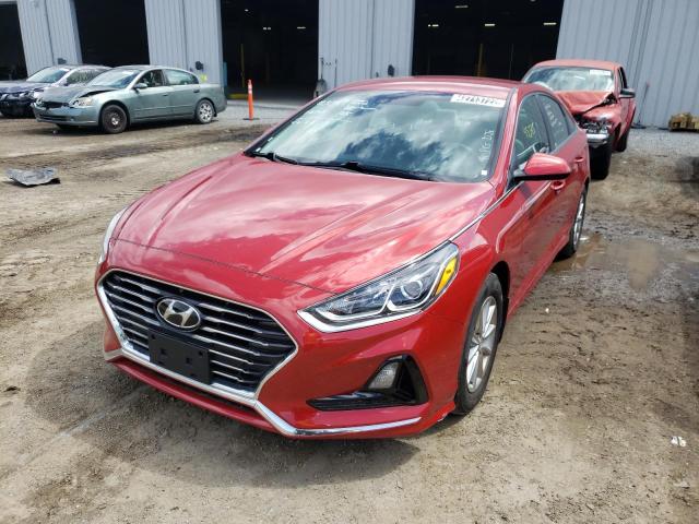 5NPE24AF4JH693038 Hyundai Sonata Se 2018. Фото: 1