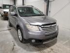 2009 SUBARU  TRIBECA