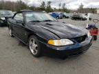 1996 FORD  MUSTANG