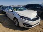 2013 KIA  OPTIMA