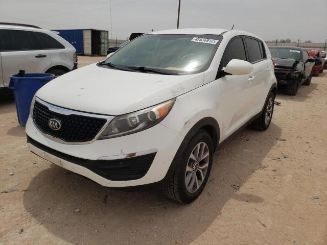 KNDPB3AC8G7833131 | 2016 KIA SPORTAGE L