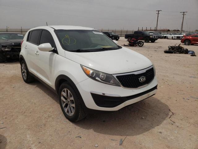 KNDPB3AC8G7833131 | 2016 KIA SPORTAGE L