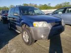 2007 FORD  ESCAPE