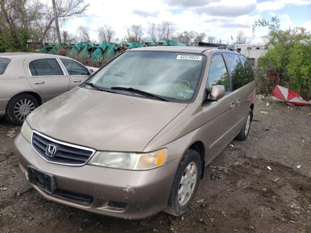 Honda Odyssey 2003 USA