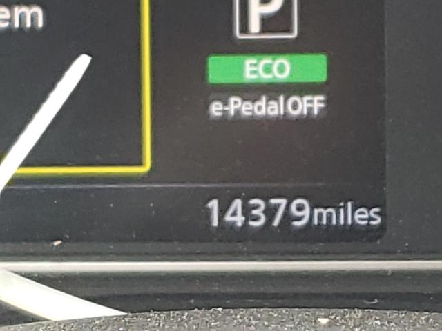 2020 NISSAN LEAF SV PL 1N4BZ1CP4LC305197