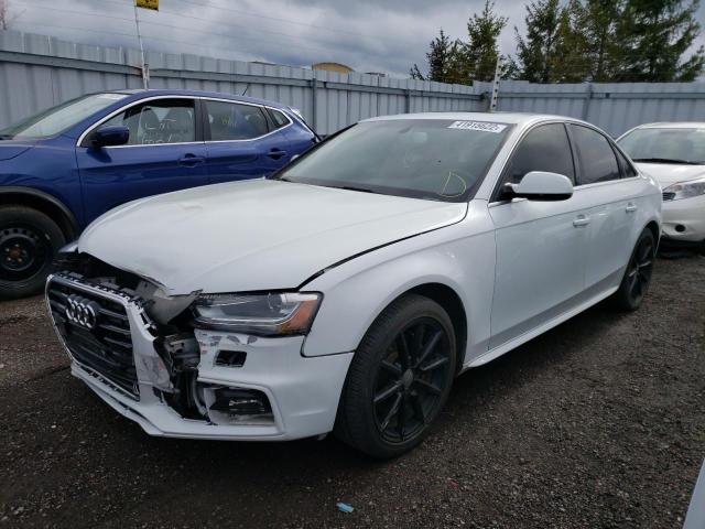 2016 AUDI A4 PROGRES WAUFFCFL7GN013236