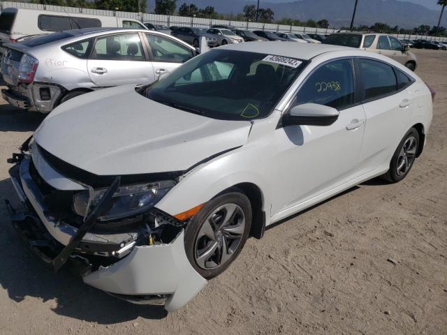2HGFC2F64LH524309 Honda Civic Lx 2020. Фото: 1