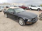 2007 FORD  MUSTANG