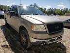 2006 FORD  F150