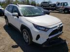 2019 TOYOTA  RAV4