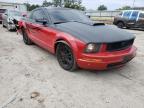 2005 FORD  MUSTANG