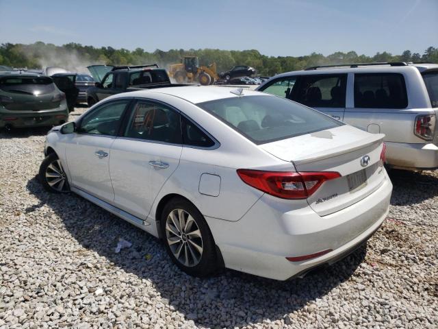 2017 HYUNDAI SONATA SPO 5NPE34AF7HH455014