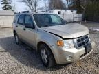 2010 FORD  ESCAPE