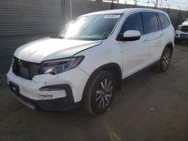 2021 HONDA PILOT EXL 5FNYF5H52MB033233